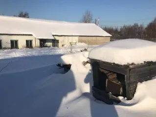 Нежилое здание площадью 30,6 кв.м., расположенное по адресу: Ярославская область, Некрасовский район, р.п. Бурмакино
