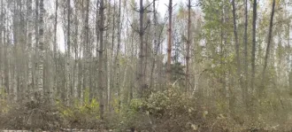 Земельный участок КН 50:25:0100208:630 площадью 1500 кв.м. Площадь земельного участка: 1500. Кадастровый номер земельного участка: 50:25:0100208:630. Основной вид разрешенного использования: 2.2