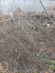 Жилой дом 49 кв.м с земельным участком по адресу Воронежская область, Бобровский район, село Хреновое, улица Красная, дом 49. Кадастровый номер дома: 36:02:3600022:669, кадастровый номер земельного участка: 36:02:3600022:674.