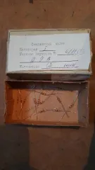 Имущество службы связи войсковой части 6676 440 часть 1 перечень имущества указан в прикрепленном файле «Приложение 1 6676 440 часть 1»