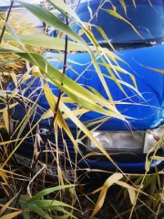 ВАЗ 21104 LADA110 2007 года, государственный регистрационный знак М081КВ/13, VIN TA21104071041082. Лада Калина 2010 года, государственный регистрационный знак Н543ОЕ797, VIN XTA111730B0096602. LADA SAMARA 2011 года, светло-серебристого цвета, VIN XTA211440C5081985. ВАЗ 21214, государственный…