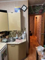 1/6 доля квартиры 61,6 кв.м, 1/6 доля жилого помещения Челябинская обл, 1/6 доля квартиры в Челябинской обл, 1/6 доля в праве на жилое помещение, площадь: 61,6кв.м., адрес (местонахождение): Челябинская обл, г Снежинск, ул Дзержинского, д 30, кадастровый номер: 74:40:0101009:1226