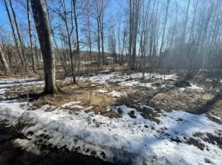 Земельный участок 1000 кв.м, Ленинградская область, Волховский район, СНТ «Пурово-ЛМЗ», Кисельнинское сельское поселение, массив Пурово, линия 12, участок 75, кадастровый номер: 47:10:1402001:68.