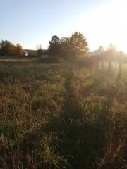 Земельный участок для ведения личного подсобного хозяйства площадью 5821 кв.м. Категория земель: земли населенных пунктов. Адрес (местонахождение): местоположение установлено относительно ориентира, расположенного в границах участка. Почтовый адрес ориентира: Республика Башкортостан, Архангельский…