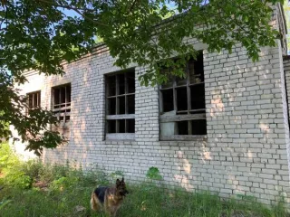 Поселковая котельная (нежилое здание), по адресу: Тверская область, Вышневолоцкий муниципальный округ, дер. Бухолово, площадью 146,7 кв.м., кадастровый номер: 69:06:0250101:396. Земельный участок, расположенный по адресу: Тверская область, Вышневолоцкий муниципальный округ, дер. Бухолово, примерно…