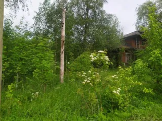 Земельный участок категория земель: земли населенных пунктов, разрешенное использование: для индивидуального жилищного строительства, площадью 1700 кв.м. Нежилое здание, площадью 66,0 кв.м., количество этажей: 1. Кадастровый номер нежилого здания: 47:10:1129002:235. Состояние объекта…