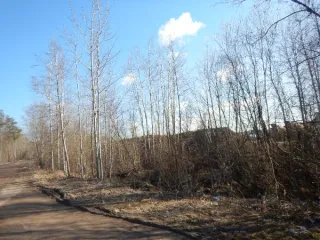 Земельный участок 9757 кв. м, Санкт-Петербург, внутригородское муниципальное образование Санкт-Петербурга поселок Белоостров, Новое шоссе, земельный участок 61 (местоположение: Российская Федерация, Санкт-Петербург, внутригородское муниципальное образование Санкт-Петербурга поселок Белоостров…