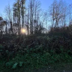 Земельный участок для садоводства 10 соток, Московская область. Категория земель: земли сельскохозяйственного назначения. Виды разрешенного использования: для ведения садоводства. Магазины находятся примерно в 20 минутах езды на автомобиле. Ближайший храм расположен неподалёку от СНТ. Участок…