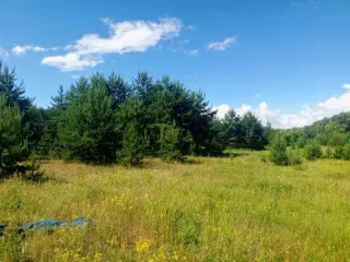 Земельный участок, площадь 929, кадастровый номер 50:34:0020202:3023, основной вид разрешенного использования: 2.2.