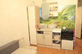 Комната 17.2 м², г. Новосибирск, ул. Твардовского, д. 8, пом. 523, кадастровый № 54:35:084647:2136, площадь общая 17.2 м².