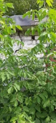 Гараж 23,4 кв.м. и земельный участок 20 кв.м. в Марий Эл. Нежилое здание, площадь: 23,4кв.м., кадастровый номер: 12:16:0507001:1626 и земельный участок, площадь: 20кв.м., категория земель: Земли населенных пунктов, разрешенное использование: Для строительства индивидуального гаража, кадастровый…
