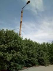 Сооружение, кад. номер 74:35:0000000:2494, протяженность 184 м. Сооружение, кад. номер 74:35:0000000:2516, протяженность 776 м. Сооружение, кад. номер 74:35:0000000:2529, протяженность 49 м. Помещение, кад. номер 74:35:0000000:4815, площадь 23474.6 м². Здание, кад. номер 74:35:0000000:4889, площадь…