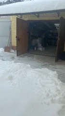 Гараж, 20 кв.м, ст-ца Каневская, Краснодарский край. Здание (гараж), общей площадью 20 кв.м., КН 23:11:0603138:194, 1 этаж, расположенное по адресу: Краснодарский край, Каневский район, ст-ца Каневская, ул. Горького, д. 52а, принадлежащая Должнику на праве собственности. Обременения (ограничения)…