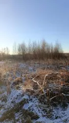 Земельный участок 722 кв.м, Московская область. Кадастровый номер: 50:01:0010108:233. Вид разрешённого использования: 2.1.