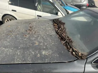 Автомобиль TOYOTA CAMRY, г/н А282ТМ124, 1992 г.в., кузов № SV30-0091559, двигатель № 0509646, цвет серый, рабочее состояние и комплектность не проверялось. Находится в Ачинском районе данное имущество обращено в доход государства (Документы и ключи отсутствуют). (2443/25) Автомобиль TOYOTA CAMRY…