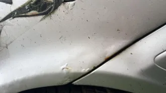 УАЗ 37411, Toyota Vista, Toyota Corona, Honda Torneo, Toyota Corona Premio, Mitsubishi Lancer Cedia, Hyundai Elantra, Nissan Cefiro, Toyota Ipsum, УАЗ 2206904, УАЗ 31512, КАМАЗ 55111, ВАЗ-21093, ВАЗ 2103, ВАЗ-21150 LADA SAMARA. Вид транспорта: легковой. Год выпуска: 1996. VIN номер…