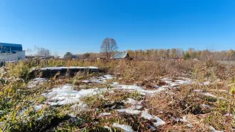 Земельный участок 2084 м² Алтайский край с кадастровым номером 22:33:042801:3384, площадью 2 084 м.кв., местоположение «Российская Федерация, Алтайский край, Первомайский район, Садоводческое некоммерческое товарищество "Новогорское", линия 7, участок № 49. В залоге у ПАО «Сбербанк».