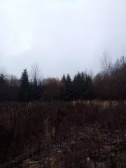 Земельный участок 1000 кв.м, с. Лесные Моркваши, ул. Сосновая, уч. 77, Республика Татарстан, площадь: 1 000 кв.м., адрес (местонахождение): Российская Федерация, Республика Татарстан, муниципальный район Верхнеуслонский, сельское поселение Набережно-Морквашское, село Лесные Моркваши, улица…