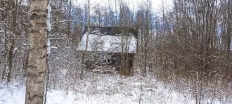 Земельный участок, категория земель земли сельхоз назначения, кадастровый  условный  номер 60:09:0041101:72, Место нахождения: Россия, обл Псковская, р н Невельский, д Марьино, Доля в праве 1/5