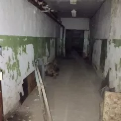 Нежилое помещение с кадастровым номером 49:09:030105:1411 общей площадью 399,3 кв.м Нежилое помещение с кадастровым номером 49:09:030105:1411 общей площадью 399,3 кв.м 
Год ввода в эксплуатацию: - 
Вид ограничений и обременений: отсутствуют 
Кадастровый номер объекта недвижимости (здания…