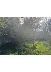 Дом 52,7 м² и участок 1359 м², Тула (Зареченский р-н, п. Хомяково). Дом: 1-н этаж, 3-и жилых комнат, 52,7 кв.м., кадастровый номер: 71:30:060703:146, адрес: Тульская область, г. Тула, п. Хомяково, ул. Солнечная, д. 9. Земельный участок: 1359 кв.м., кадастровый номер: 71:30:060703:92, адрес…