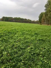 Земельный участок площадью 131000 кв.м. Адрес: 627033, Тюменская область, Ялуторовский район, село Киёво. Кадастровый номер: 72:21:0000000:28. Вид собственности: индивидуальная.