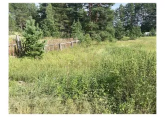 Земельный участок 5867 кв.м, Вологодская обл, д. Званец 2/3 доли земельного участка в Вологодской области еще 2/3 доли земельного участка в Вологодской области еще 2/3 доли в общей долевой собственности на земельный участок, площадь 5867 кв.м., адрес (местонахождение): Вологодская область, р-н…