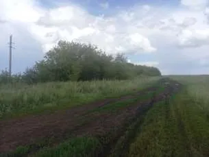 Право долгосрочной аренды земельного участка площадью 1 943 853 кв.м, кадастровый номер: 02:47:121101:10, адрес: Местоположение установлено относительно ориентира, расположенного в границах участка. Почтовый адрес ориентира: Республика Башкортостан, р-н. Уфимский, с/с. Николаевский. Имеются…