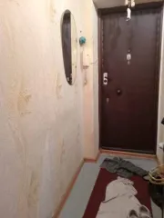 1/4 доли в квартире, 49 кв. м, Курская область, Железногорск. 1/4 доля квартиры в Курской обл. еще 1/4 доля квартиры в Курской обл. еще 1/4 доли в праве на Квартиру, расположенную по адресу: Курская область, г. Железногорск, ул. Молодёжная, д. 3/5, кв. 51. Кадастровый номер: 46:30:000014:3806…