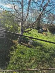 Земельный участок площадью 600 кв. м, кадастровый номер 41:05:010100057:1156, категория земель - земли сельскохозяйственного назначения, вид разрешенного использования - ведение садоводства, местонахождение: Камчатский край, Елизовский р-н, снт Парус, Камчатское морское пароходство, 25 (29) км…