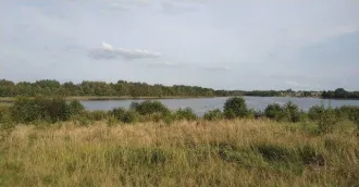 Земельный участок, 81004 кв.м, Псковская обл., р-н Великолукский, СП "Переслегинская волость", земельный массив между д. Русаново и оз. Кислое, кадастровый номер 60:02:0140103:29.
