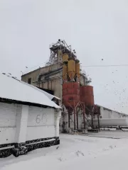 Имущественный комплекс ХПП в г. Тюкалинск, состоящий из следующих активов: Земельный участок. Земли населенных пунктов   Для не сельскохозяйственного производства, для размещения производственных зданий. Площадь: 69 973 кв.м. Кадастровый номер: 55:38:013202:25  Здание склада № 1, назначение…