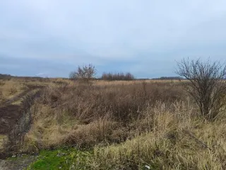 Земельный участок 12000 кв.м, Московская область, кадастровый номер 50:23:0020274:386. Вид разрешённого использования: 4.9.2001.