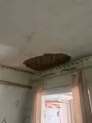 Квартира 44,6 кв.м. и участок 1120 кв.м., Курская область. Квартира 44,6 кв.м. и земельный участок 1120 кв.м. в Курской обл. Ещё квартира 44,6 кв.м. и земельный участок 1120 кв.м. в Курской обл. Ещё 1. Квартира, площадь: 44,6 кв.м., назначение: жилое, этаж: 1, адрес (местонахождение): Курская…