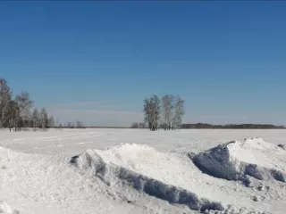 Доля в размере 1/2 в праве общей долевой собственности на земельный участок, категория земель: земли сельскохозяйственного назначения – для ведения сельскохозяйственного производства, площадь: 337 000 кв. м, кадастровый номер 54:13:025312:349, местоположение: Новосибирская область, Краснозерский…