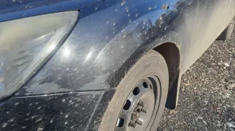 Легковой автомобиль FORD FOCUS 2009 г.в. VIN X9FHXXEEDH9D53711, ГРЗ Т834НТ18 Предварительно согласовать время по телефону у организатора торгов +79225020212 Максим Сергеевич, авто находится по адресу: УР, г. Ижевкск, ул. Вадима Сивкова, 141