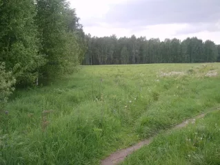 Земельный участок с кадастровым номером 52:07:0900027:715, вид разрешенного использования для дачного строительства, площадью 577948,68 +/-6652 кв.м.
Местоположение установлено относительно ориентира, расположенного в границах участка. Почтовый адрес ориентира: Нижегородская область, Сокольский…