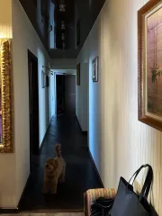 Квартира 117,1 м² в Нижнем Новгороде по адресу: ул. 1-я Оранжерейная, д. 28а, кв. 157. Кадастровый номер 52:18:0070037:2027.