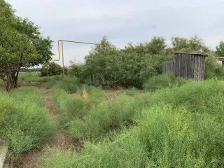 Земельный участок 300 кв.м. Астраханская область, кадастровый номер 30:02:020401:89, ВРИ – для ведения личного подсобного хозяйства, расположен по адресу: Астраханская область, Володарский район, с. Кошеванка, ул. Береговая, 40.