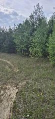 Земельный участок 1006 кв.м. в Свердловской области, г. Заречный, восточнее д. Гагарка, кадастровый (условный) номер: 66:42:0201003:1772, вид собственности: индивидуальная.