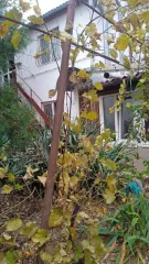Дом 282,6 кв.м, летняя кухня 48,9 кв.м, участок 525 +/-1 кв.м, г. Севастополь. Жилой дом общей площадью 282,6 кв. м, кадастровый номер 91:04:003004:341, Здание (летняя кухня) площадью 48,9 кв. м, кадастровый номер 91:04:003004:607, земельный участок общей площадью 525 +/-1 кв.м кадастровый номер…
