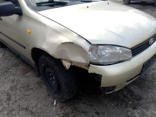 1/4 доли в праве на легковой автомобиль, марка: LADA, модель: Kalina, год изготовления: 2008, цвет: бело-желтый перламутровый, VIN: ХТА11193090097097, ПТС: 63МТ706330, модель двигателя: 11183, двигатель №: 5095317, кузов №: ХТА11193090097097. Находится в долевой собственности, размер доли: 1/4