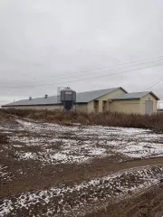 Имущественный комплекс в Татарстане: здание цеха забоя 1072 кв.м, контора 589.3 кв.м, гараж 294.6 кв.м, склад минеральных удобрений 1186.2 кв.м, арочный склад 657 кв.м, зернохранилища 620.4 кв.м и 625.5 кв.м, пункт технического обслуживания 388.7 кв.м, фуражный склад 1124.7 кв.м, зерносклады 629.2…