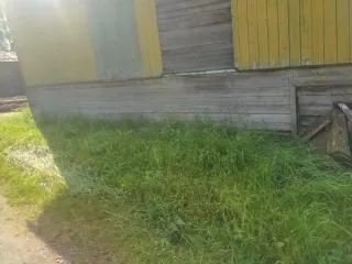 Нежилое здание магазина продовольственного, кадастровый номер 10:19:0020120:23, общей площадью 114,9 кв.м., расположенное по адресу: Республика Карелия, р-н Муезерский, п. Ледмозеро, пер. Школьный, д. 4, с земельным участком, кадастровый номер 10:19:0020120:29, общей площадью 224 +/-5 кв.м.
