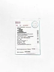 Volkswagen Tiguan 2011 Легковой автомобиль Volkswagen Tiguan, год выпуска: 2011, VIN:XW8ZZZ5NZCG108789, цвет: серебристо-желтый, мощность (кВт/л.с.): 125/170.0, государственный регистрационный знак: О292СР29.