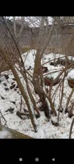 1/5 доля жилого здания 26 кв.м и 1/5 доля земельного участка 1500 кв.м Волгоградская обл, кадастровый номер: 34:06:110004:869 и 1/5 доля в праве на земельный участок, площадь: 1 500кв.м., категория земель: Земли населенных пунктов, разрешенное использование: Для ведения личного подсобного…