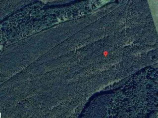 Единый производственно-технологический комплекс Курганская область состоящий из: Земельные участки: 1. Земельный участок, кадастровый номер: 45:22:010601:388, площадь 1 829 861 кв.м., адрес: Курганская область, Шумихинский район, в границах бывшего колхоза "Родина" восточнее с. Галкино. 2…
