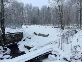 Земельный участок 1664 кв.м Санкт-Петербург Земельный участок для индивидуального жилищного строительства, площадью 1664 кв. м., кадастровый номер 78:38:0022512:7, расположенный по адресу: Санкт-Петербург, г. Зеленогорск, ул. Вокзальная, д. 1, лит. А