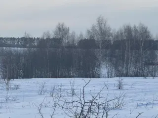 Земельный участок площадью 1000 кв.м, категория «земли населенных пунктов», вид разрешенного использования «Для ведения личного подсобного хозяйства (приусадебный земельный участок)» расположенного по адресу: Московская область, городской округ Кашира, д. Аладьино. Основной вид разрешенного…