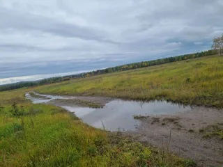 Земельный участок 2 000 004 кв.м, земельный участок 2 000 004 +/- 3 913 кв.м, общей площадью 2 000 004 +/- 3 913 кв.м, местоположение установлено относительно ориентира, расположенного в границах участка. Почтовый адрес ориентира: Забайкальский край, Читинский район, а/д Chita-Romanovka, падь…